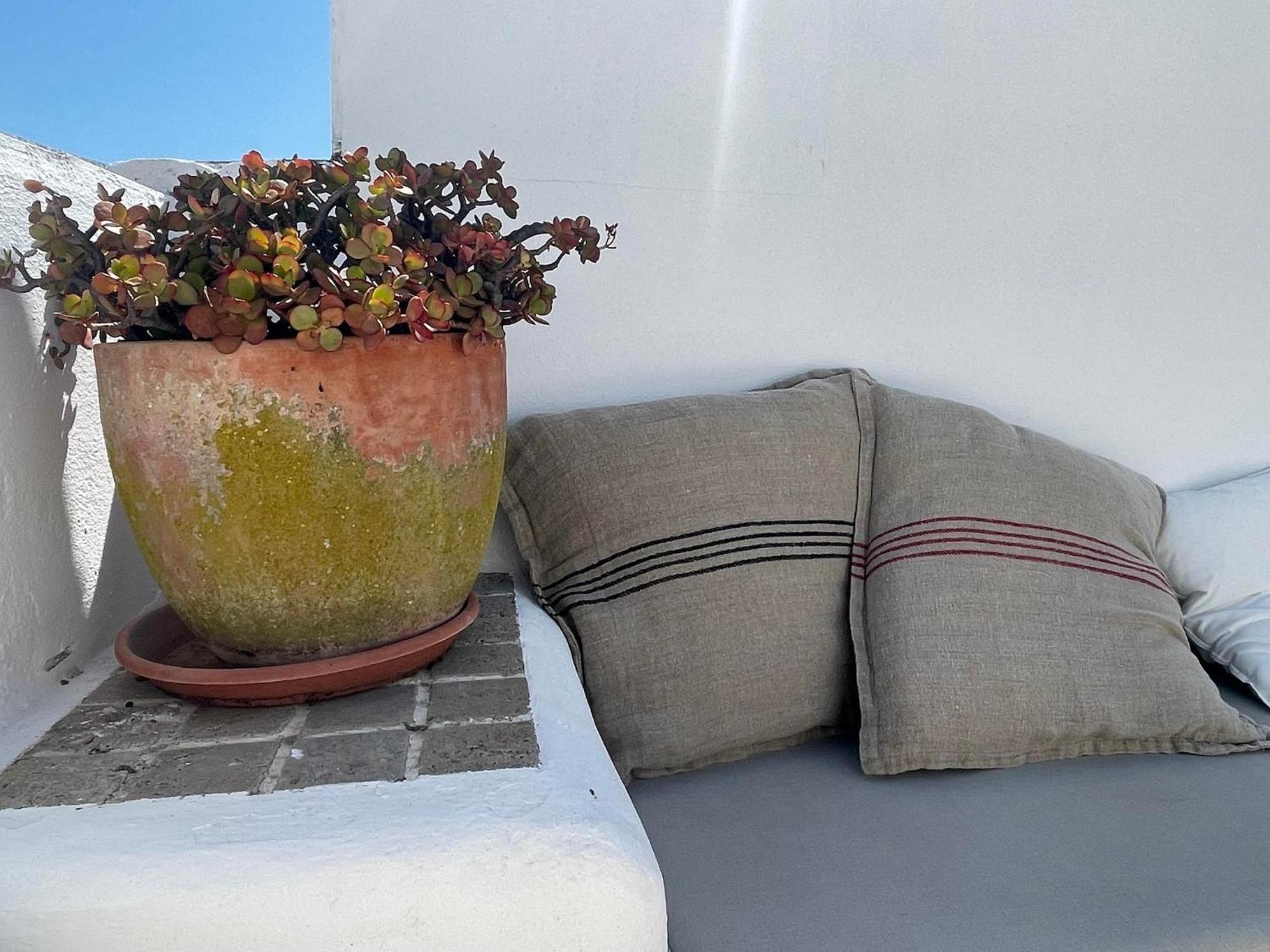 Willa Casa Badillo - Califa Casas Vejer Vejer de la Frontera Zewnętrze zdjęcie